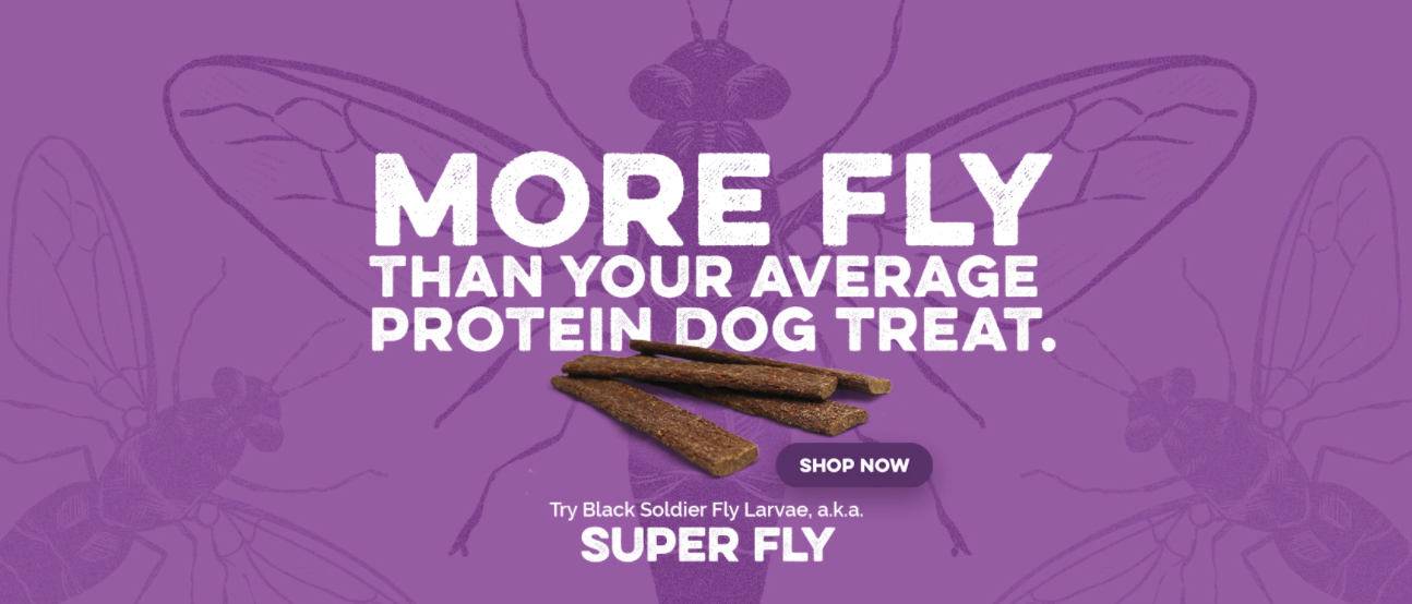 New Pet Products: Super Fly Dog Treats